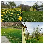 Bed & Breakfast Peraj *