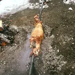 Peraj * Vermosh