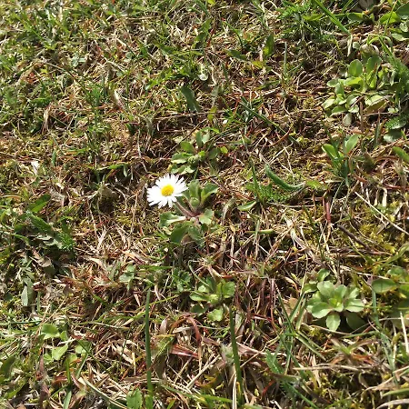 Peraj فندق مبيت وإفطار *