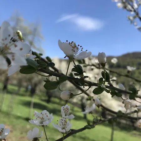 Peraj