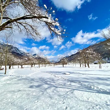 فندق مبيت وإفطار Peraj Vermosh