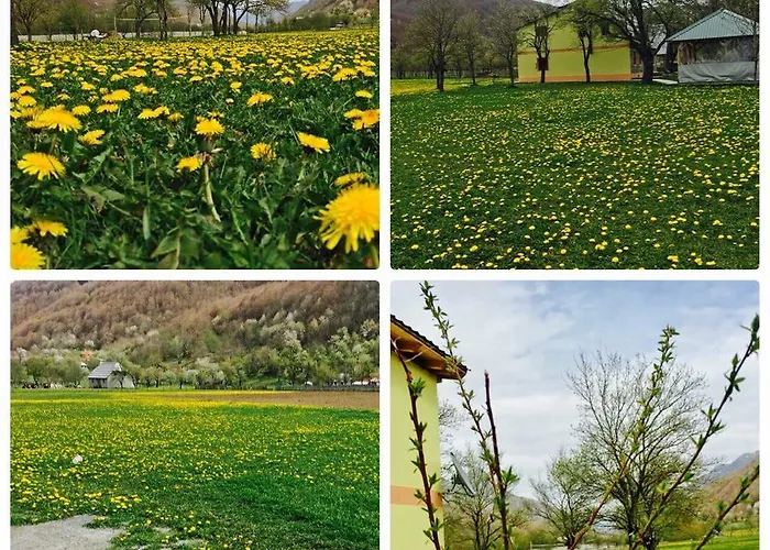 Bed and breakfast Peraj *